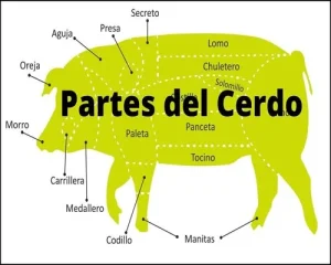 Partes del Cerdo para la Barbacoa